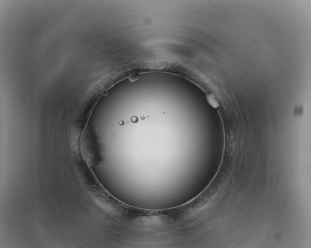 X0000094380307200711091607