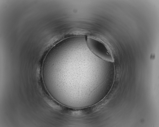 X0000094380309200711091607