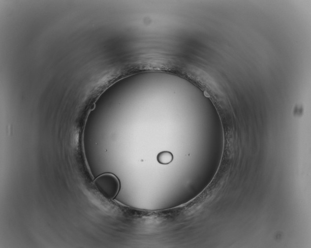 X0000094380310200711091607
