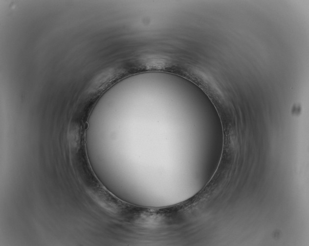 X0000094380311200711091607