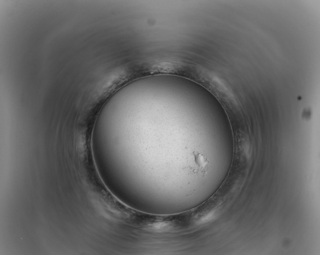 X0000094380312200711091607