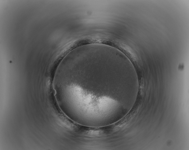X0000094380314200711091607