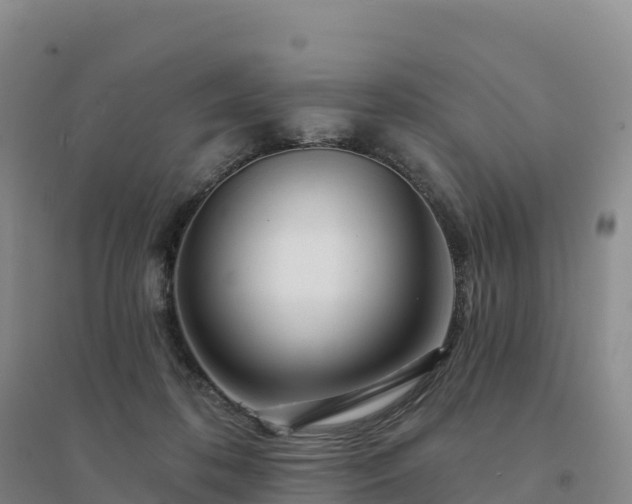 X0000094380316200711091607