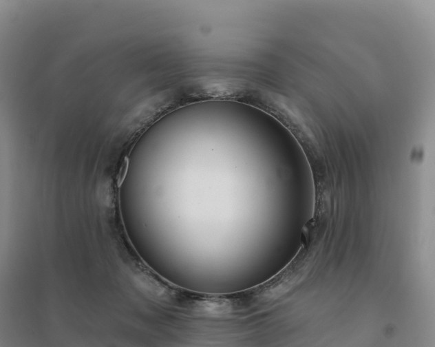 X0000094380317200711091607