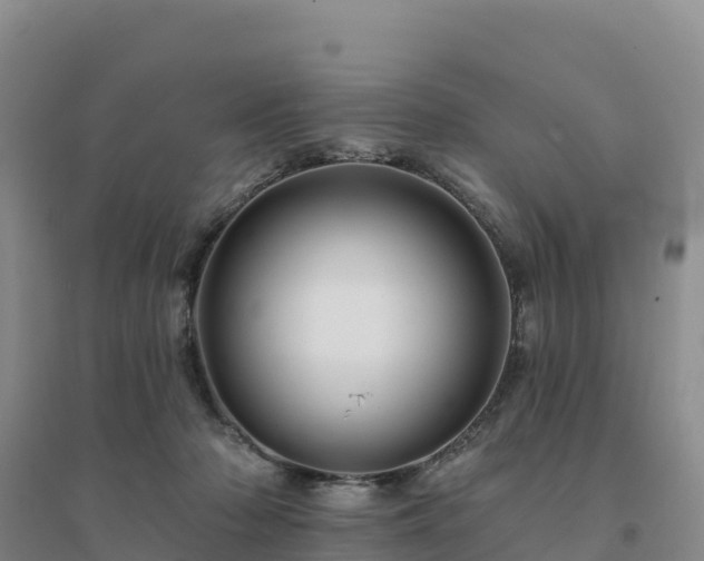 X0000094380318200711091607
