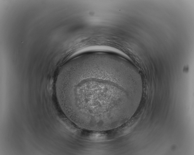 X0000094380319200711091607