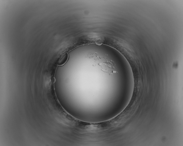 X0000094380320200711091607