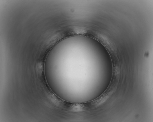 X0000094380321200711091607