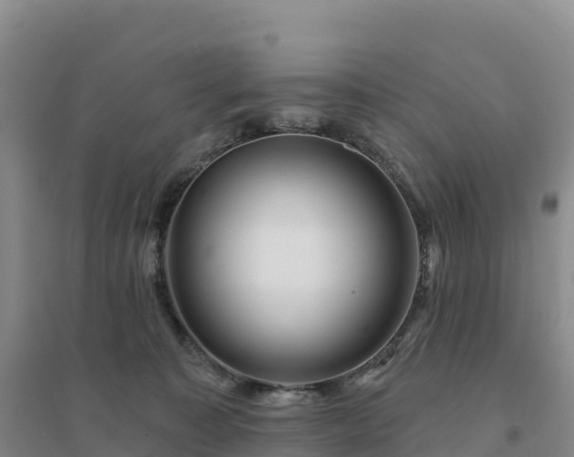 X0000094380323200711091607