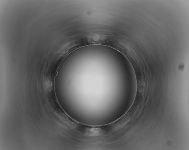 X0000094380324200711091607