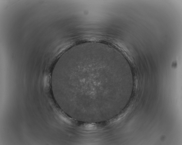 X0000094380325200711091607