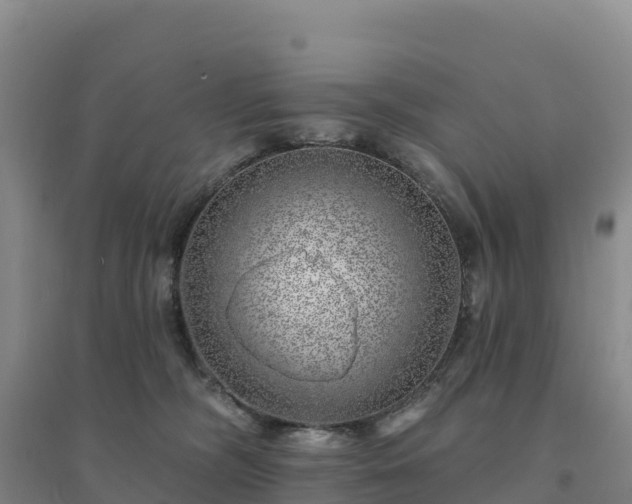 X0000094380326200711091607