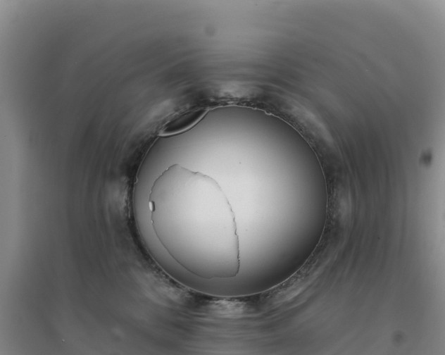 X0000094380328200711091607