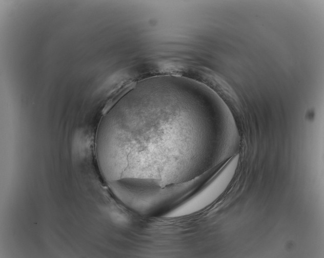 X0000094380329200711091607