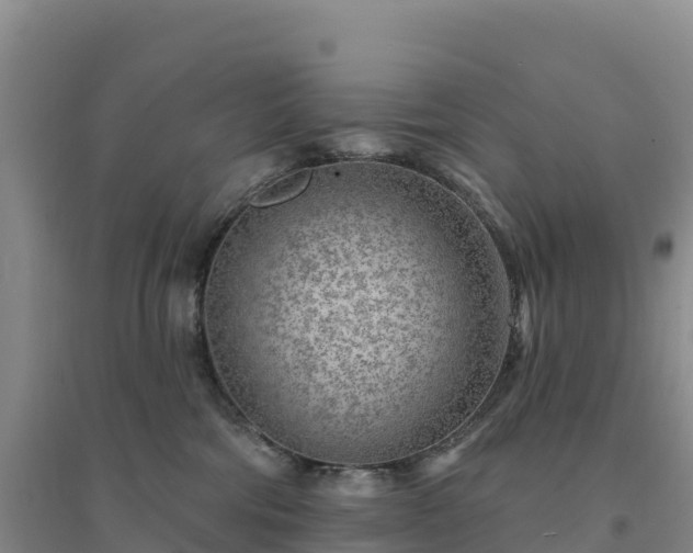 X0000094380330200711091607