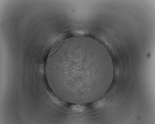 X0000094380331200711091607