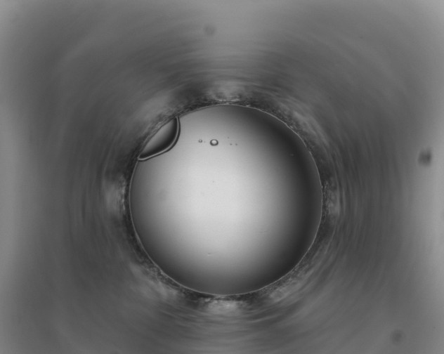 X0000094380332200711091607