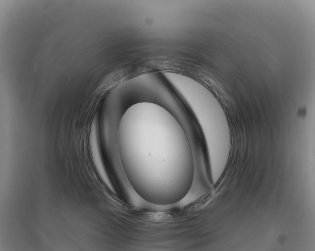 X0000094380333200711091607