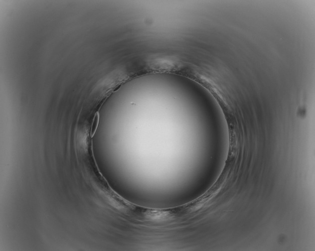 X0000094380334200711091607