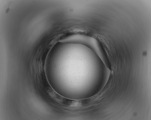 X0000094380335200711091607