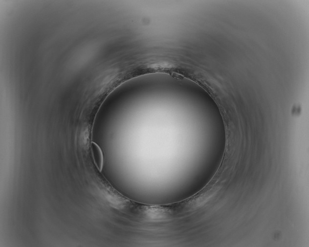 X0000094380336200711091607