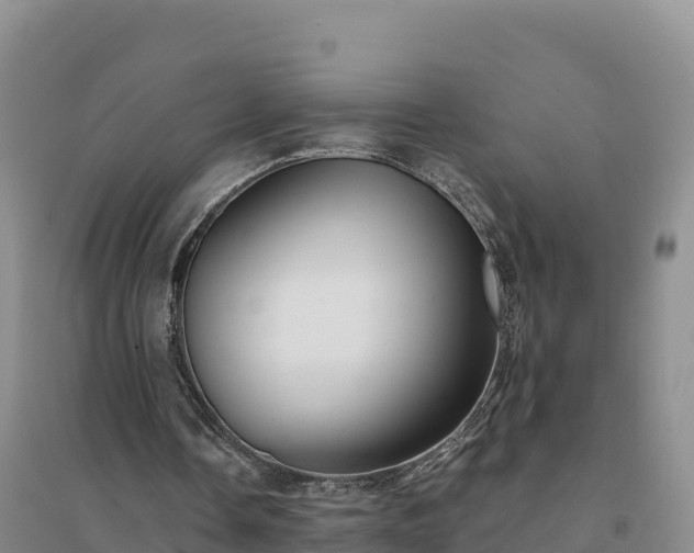 X0000094380338200711091606