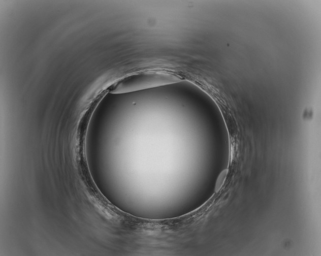 X0000094380339200711091606