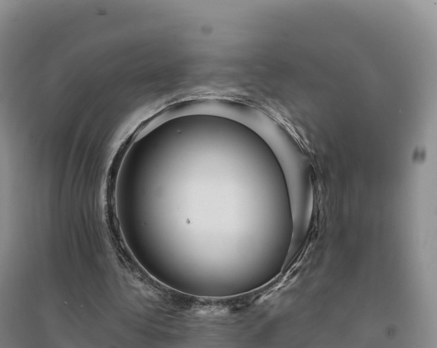X0000094380340200711091606