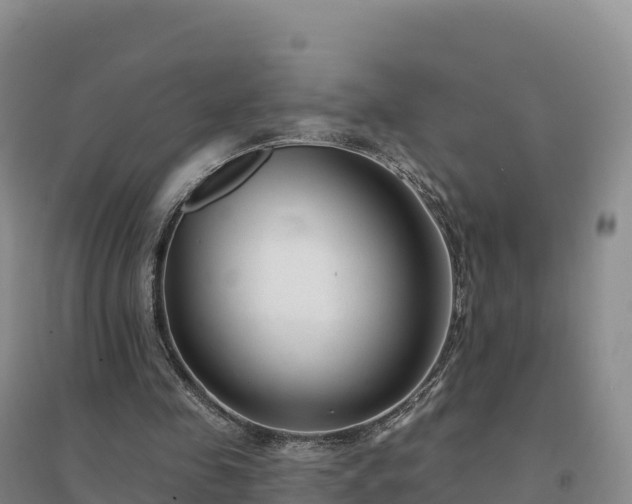 X0000094380341200711091606