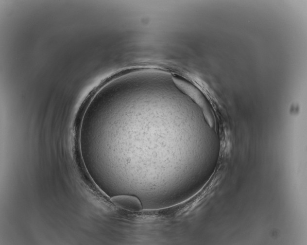 X0000094380342200711091606