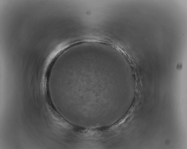 X0000094380343200711091606