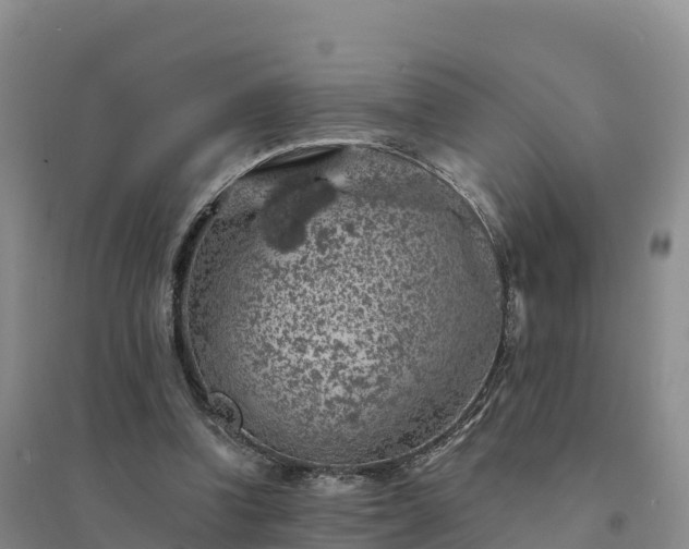 X0000094380346200711091606