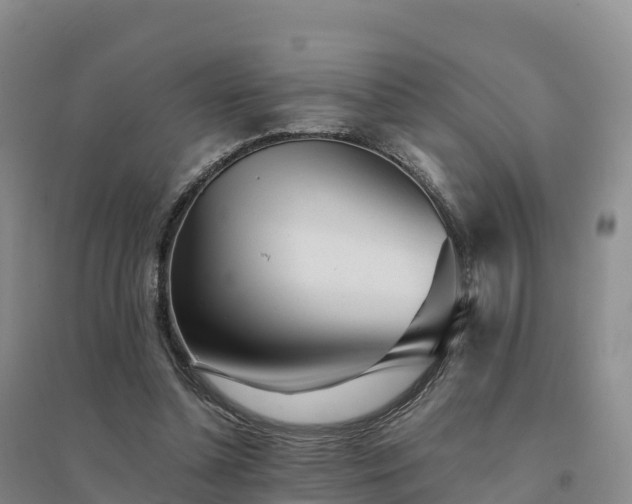 X0000094380348200711091606