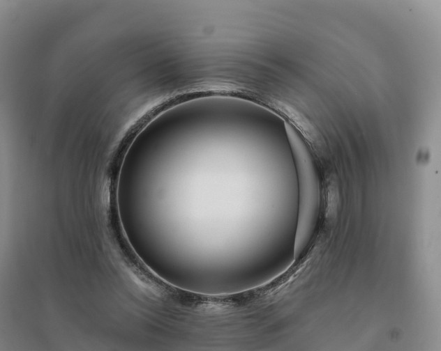 X0000094380350200711091606