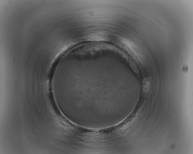 X0000094380351200711091606