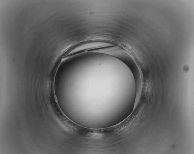 X0000094380352200711091606
