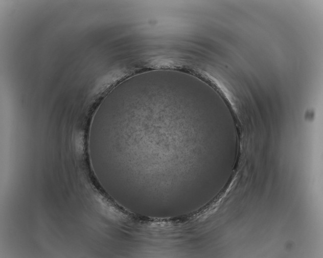 X0000094380353200711091606