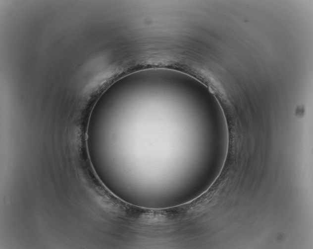 X0000094380354200711091606
