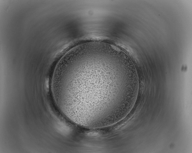 X0000094380358200711091606
