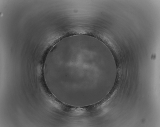 X0000094380359200711091606