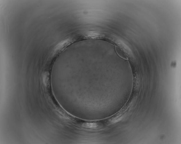 X0000094380361200711091606
