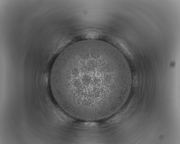 X0000094380363200711091606