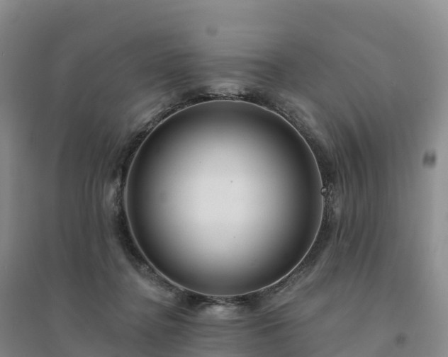 X0000094380364200711091606