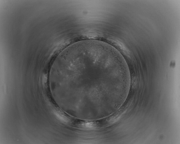 X0000094380365200711091606