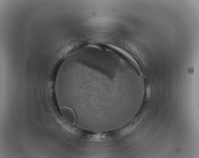 X0000094380366200711091606