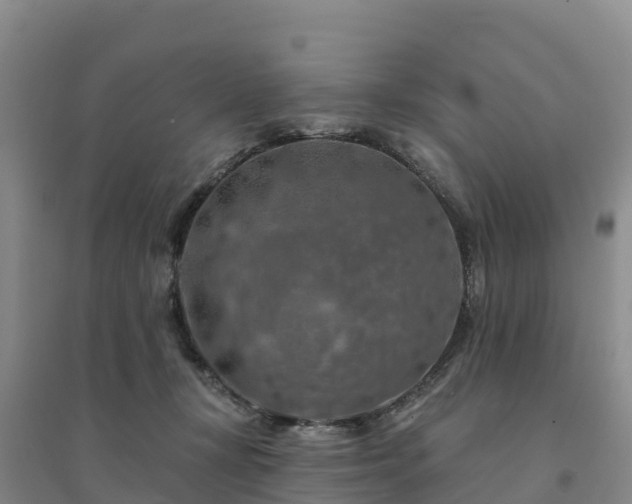 X0000094380367200711091606