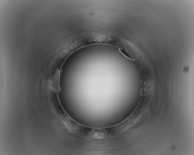X0000094380368200711091607