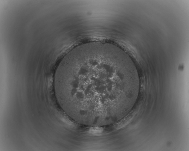 X0000094380369200711091607