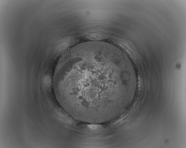 X0000094380371200711091607