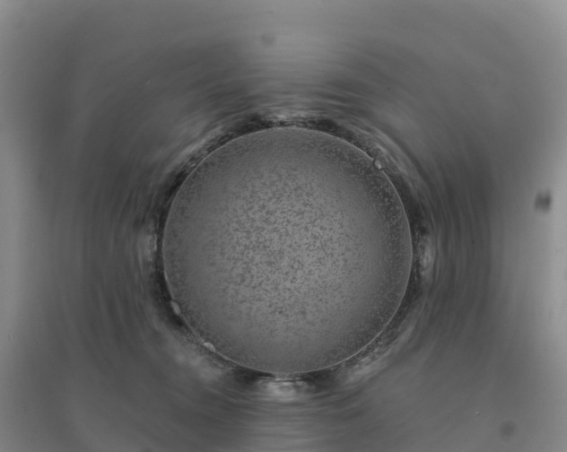 X0000094380372200711091607